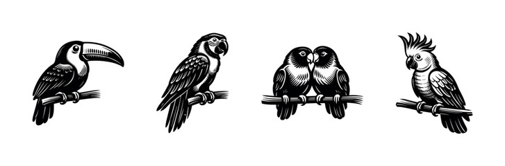 Fototapeta premium Collection of four distinct bird illustrations perched on branches in a graphic style