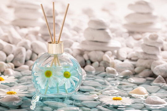 Intense diffuser fragrance with refreshing and aquatic scent.