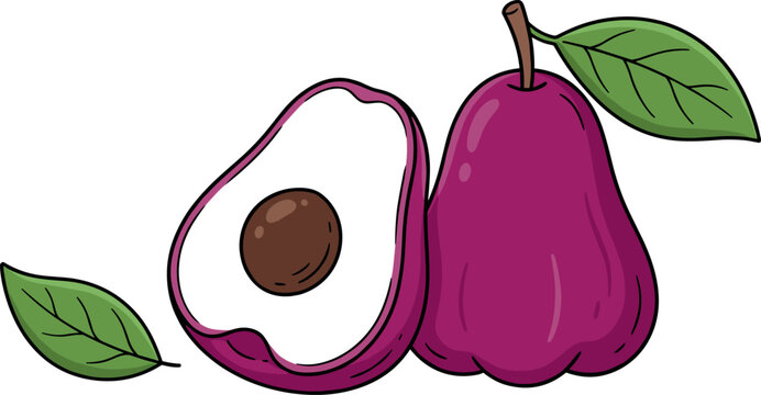 Vector Illustration of Fresh Rose Apples with Leaves Featuring Whole and Sliced Fruit on White Background for Tropical, Healthy, and Food Designs
