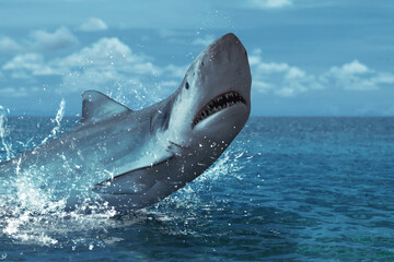 Fototapeta premium Great white shark jumping out in water splash