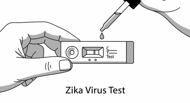 Vector illustration of a hand holding a rapid test cassette and a dropper with a fluid specimen, labeled Zika Virus Test. Concept for medical diagnostics, viral screening, and healthcare.