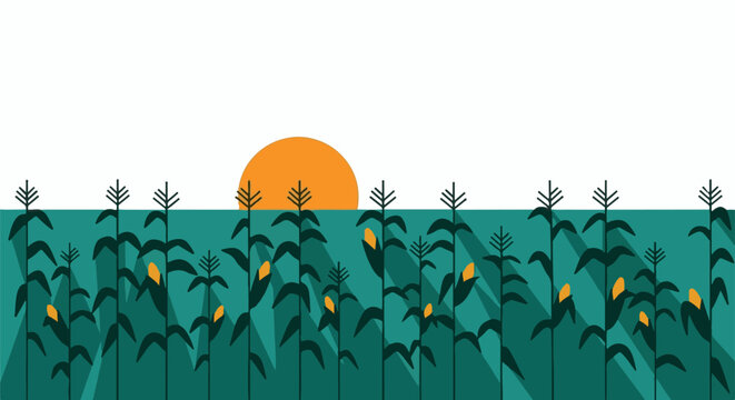 A flat design of a cornfield at sunset with a bright orange sun peeking over the stalks