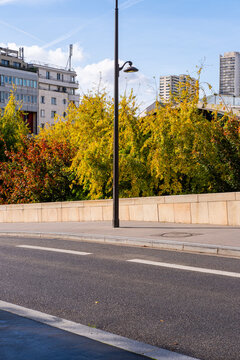Autumn trees rise beside a Paris France street, placing urban road transport markings against city architecture and a quiet pavement edge