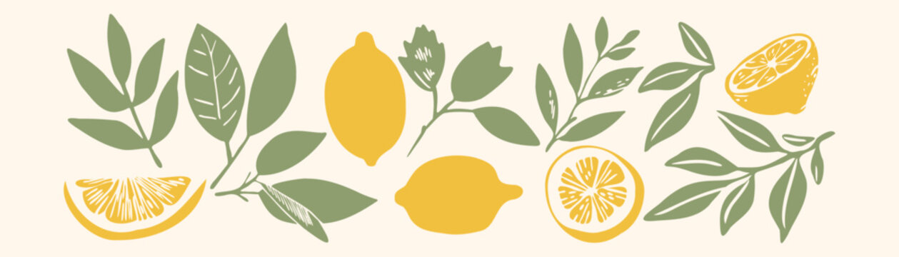 Lemon citrus vector illustration set with leaves, branches and blossom in linocut mediterranean style &mdash; minimal silhouette botanical design for print and packaging
