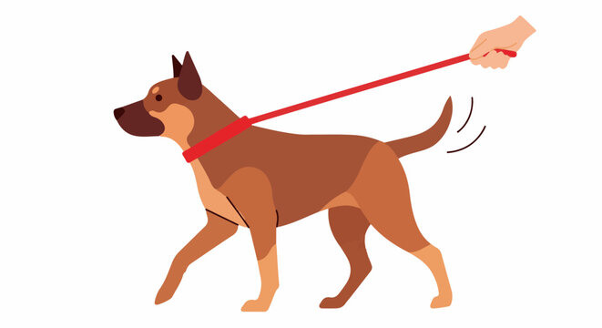 A brown dog on a red leash walks, its tail wagging joyfully