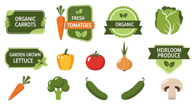 Organic produce labels and icons featuring fresh vegetables and carrots, lettuce, tomatoes, cabbage, and broccoli