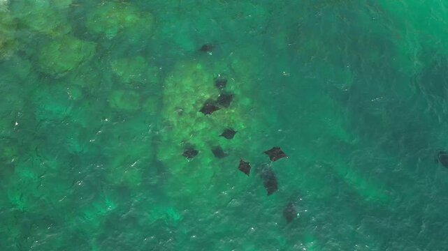 Breathtaking high angle shot of pristine coastline at Manta Point Nusa Penida &ndash; Wild ocean waves and beautiful manta rays visible under the turquoise sea surface, Indonesia cinematic footage