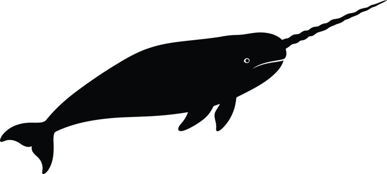 Black narwhal silhouette with tusk