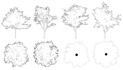 Fototapeta premium Vector set of red maple trees in elevation and plan view for use in architectural drawings 