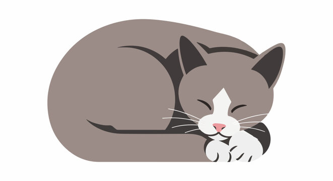 A stylized illustration of a gray and white cat curled up asleep
