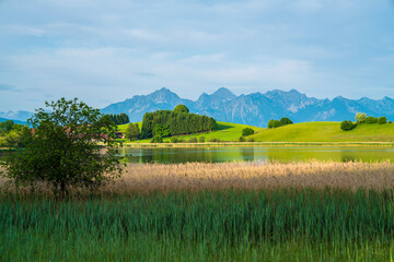 Germany, Reflective alpine lake surrounded by green pastures and mountain scenery © Simon Dux Media