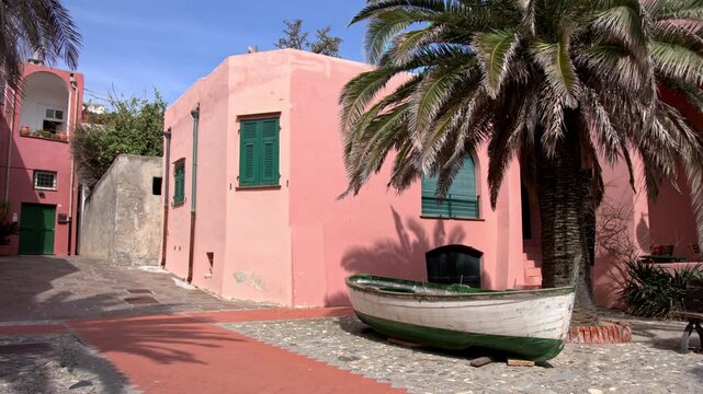 Traditional Fishing Boat and Palm Tree in Varigotti Italy