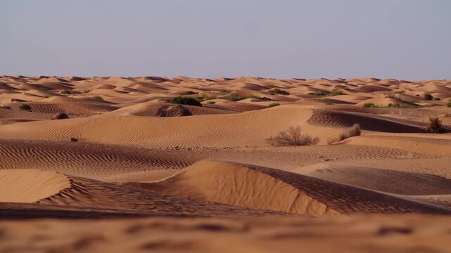 Detailed view of windblown sand grains on desert dunes in the Tunisian Sahara at sunset. Golden hour light hitting ripples and textures during a sandstorm in the Grand Erg Oriental desert