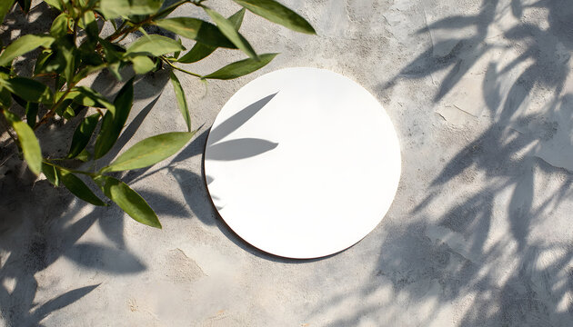 A white square sticker mounted on a concrete floor with shadows and leaves of plants. Ideal for marketing or design mockups. A minimalistic background for product placement.