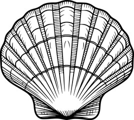 Detailed black and white line of a scallop shell white background, ocean beach © simplevector