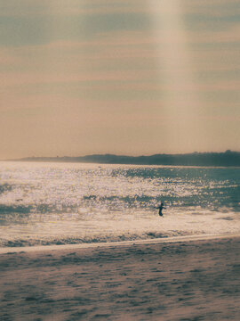 kid playing on the beach at sunset