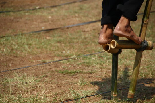 A person balances on bamboo stilts during a traditional Indonesian folk game held outdoors on a grassy field.