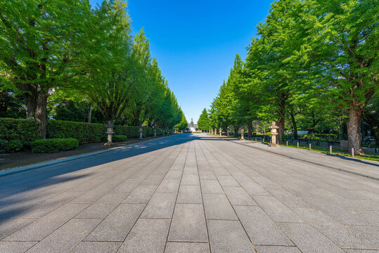 靖国神社の参道
