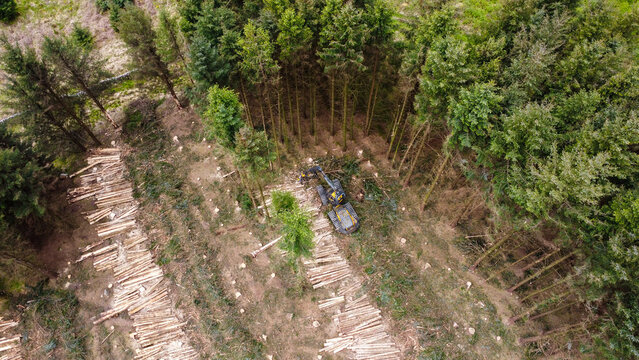Top-down drone view of active forestry work with a logging harvester processing felled trees beside dense woodland, with cut timber arranged in rows across the cleared forest floor.