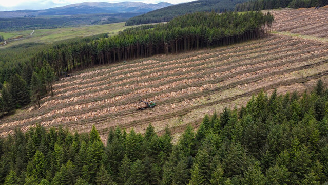 Top-down drone view of a forestry site where dense evergreen forest meets cleared woodland with felled timber and machinery, showing timber harvesting and forest management.