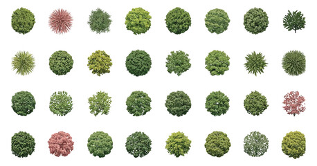 Tree Top Watercolor Hand Drawn View Isolated on White Background for Landscape Plan and Architecture Layout Drawing. Garden and Environment Design Elements Collection © YET FAR 