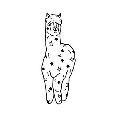 Fototapeta premium cute hand-drawn llama with star patterns vector illustration