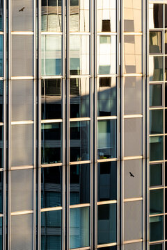 Warm vertical facade lines reveal Frankfurt Germany office windows, giving business district architecture a reflective urban rhythm