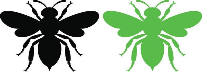 Contrast between a black and a green insect silhouette. © Sathi