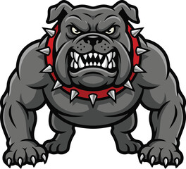 Fototapeta premium Angry bulldog mascot illustration. Aggressive grey dog vector art. Fierce canine character with red spiked collar. Mean bulldog growling and baring teeth. Professional sports team logo. Guard dog 