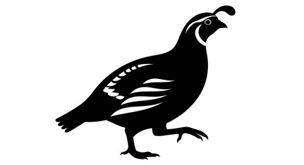 Fototapeta premium California Quail Vector Silhouette