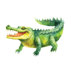 Fototapeta premium Green Crocodile with Open Mouth.