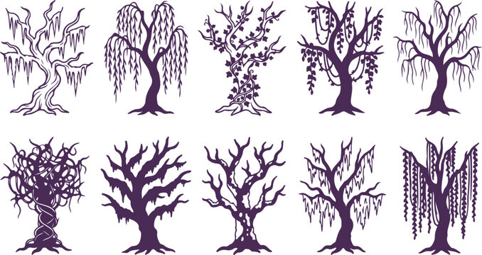 Elegant purple spooky weeping trees isolated on transparent checkered background.