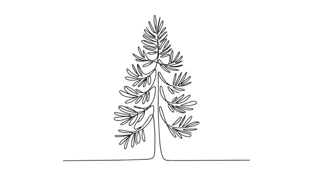 Minimalist continuous line art design featuring a tall coniferous pine tree on transparent.