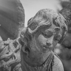 Fototapeta premium Sad angel statue with lowered gaze in melancholic monochrome atmosphere