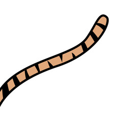 Tiger Animal Tail © Nareerat
