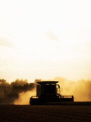 Fototapeta premium Combine Harvester at work in silhouette during harvest in evening light