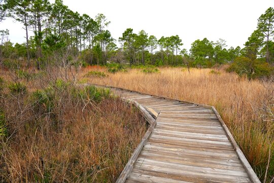 Week Stay At St Andrews State Park Florida