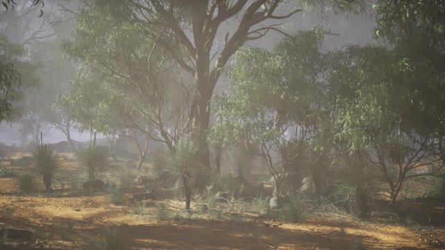 Open woodland haze panorama with distant trees and parched ground, soft diffuse light creating layered silhouettes, expansive stillness ideal for environmental