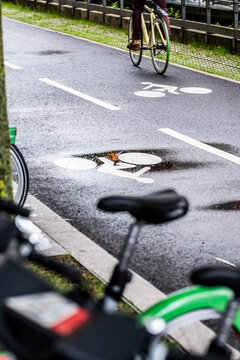 A foreground rental bike frames a Lyon asphalt lane, where a bicycle symbol, cyclist, curb and mobility markings sit in bright road light.