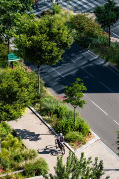 A lone cyclist moves through a Lyon lane, with trees, garden beds, sidewalk, street and greenery shaping an urban commute from above.