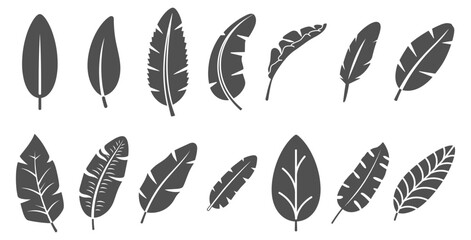 Black silhouette icons of tropical and exotic leaves. Vector set of natural foliage shapes. © Alla