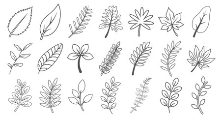 Black line drawing of various leaf outlines and botanical elements. Hand-drawn nature sketch collection. © Alla