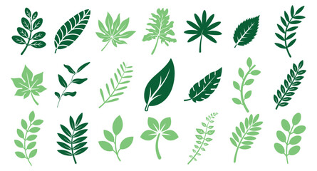 Collection of various green leaf icons in different shapes and sizes. Simple flat plant elements on transparent background. © Alla