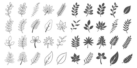 Black and white leaf icons and hand drawn botanical sketches. Simple nature elements collection. © Alla