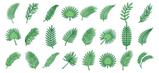 Collection of green tropical leaves featuring palm and exotic foliage. Botanical s on white background. © Alla