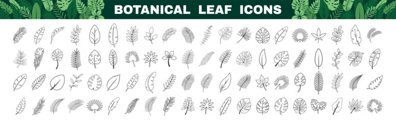 Hand-drawn botanical leaf icons in black outline style on white background. © Alla
