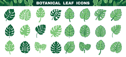 Collection of tropical leaf icons in green shades. Flat vector set of botanical elements. © Alla