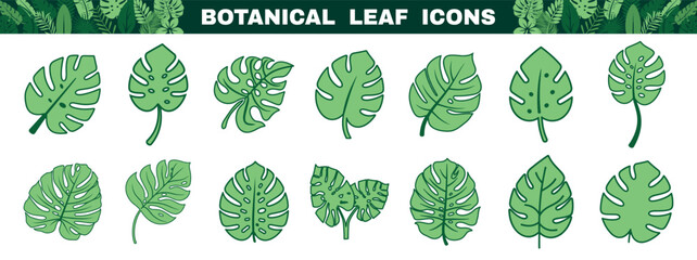 Leaf icon with outline botanical monstera. Clean icon on transparent background. © Alla