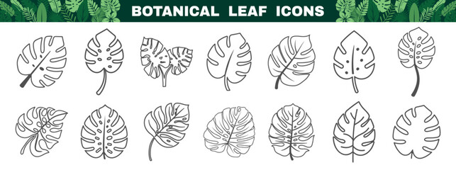 Black outline icons of tropical leaves collection. Botanical leaf drawings in simple style. © Alla