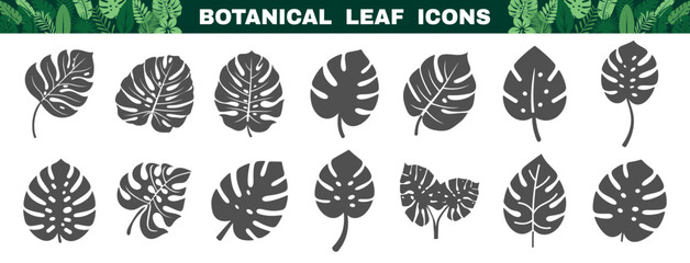 Botanical leaf icons collection with black tropical silhouettes. Monstera and exotic plant symbols. © Alla